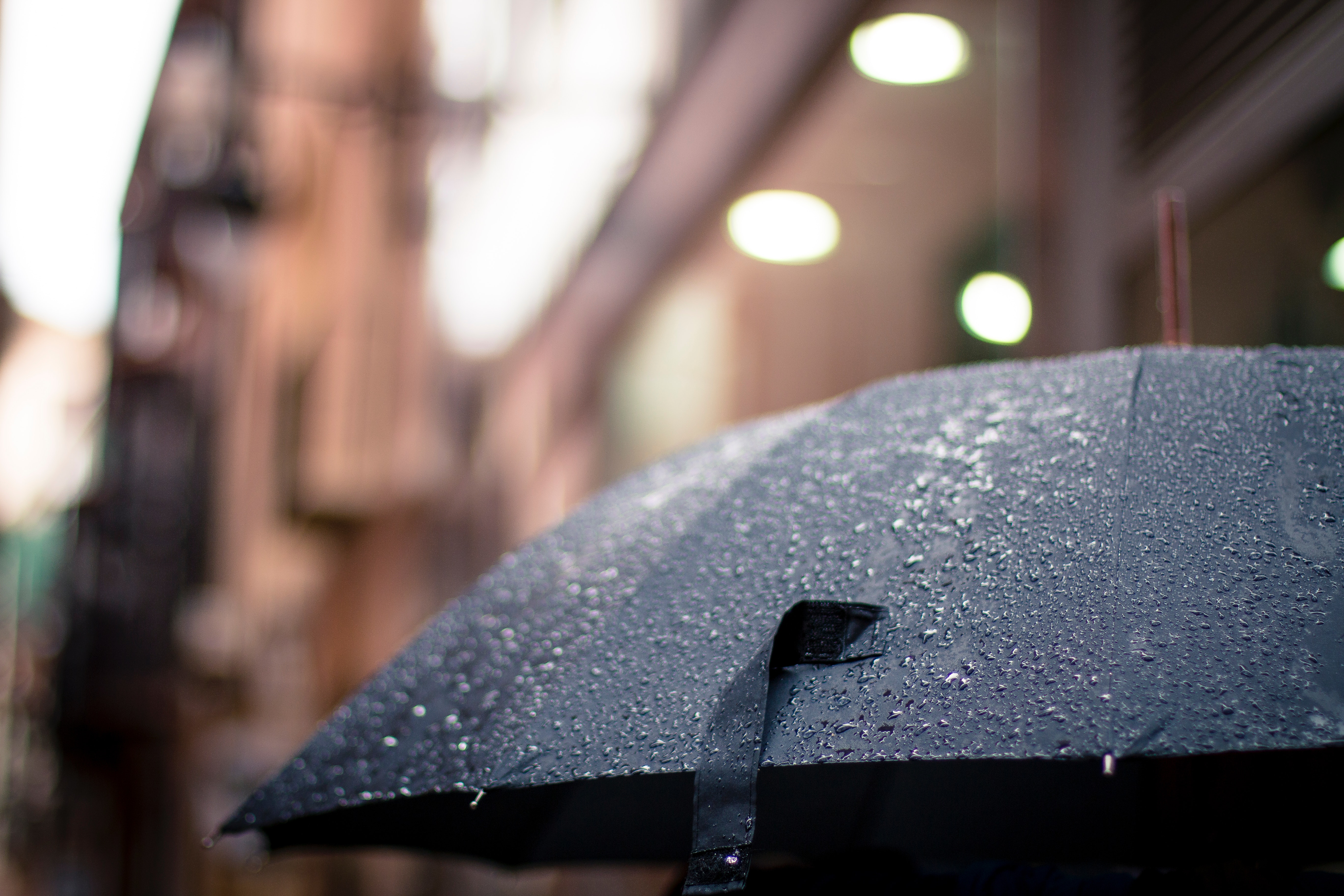 rain-umbrella-weather-17739